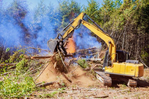 Memphis Land Clearing